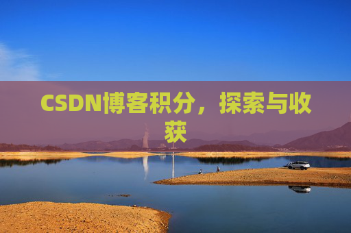 CSDN博客积分,探索与收获